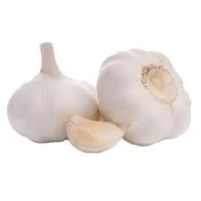 Fresh Garlic Imported P/Kg